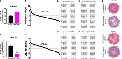 miRNome and Functional Network Analysis of PGRMC1 Regulated miRNA Target Genes Identify Pathways and Biological Functions Associated With Triple Negative Breast Cancer